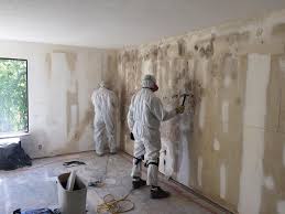 Best Commercial Mold Inspection  in Taft Southwest, TX